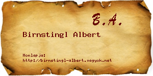 Birnstingl Albert névjegykártya